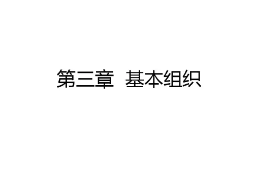 人体解剖生理学 3.第三章-组织
