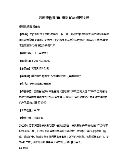 云南德钦县加仁铜矿矿床成因浅析
