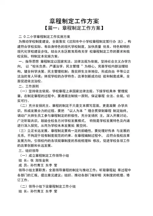 活动方案之章程制定工作方案