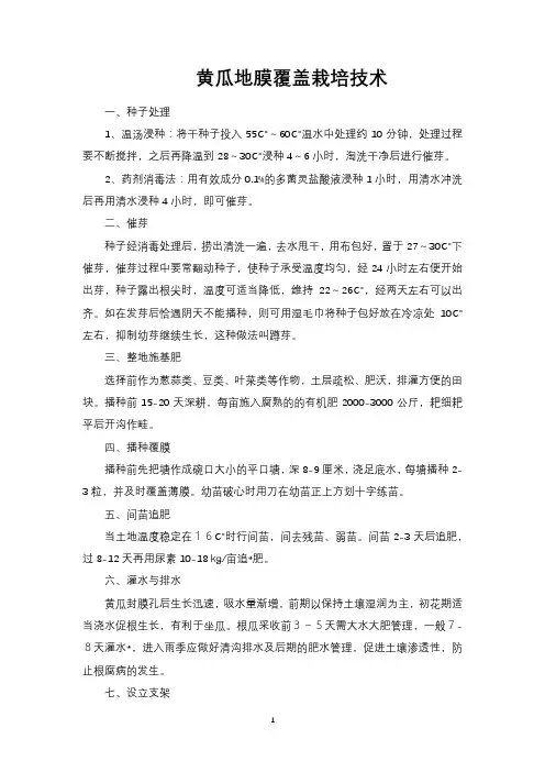 黄瓜地膜覆盖栽培技术