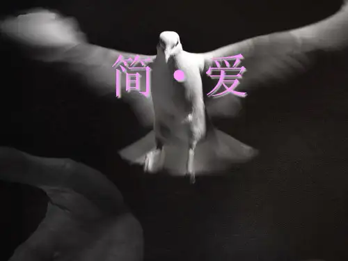 简爱完美版 ppt课件