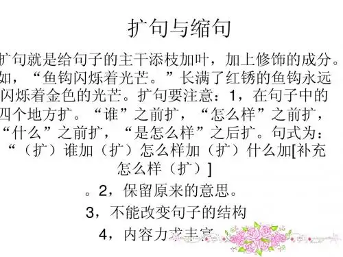 扩句与缩句