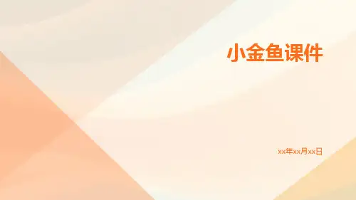 小金鱼课件