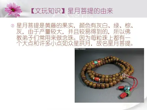 【文玩知识】星月菩提的由来