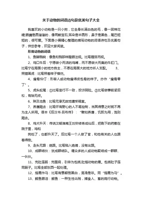 关于动物的词语诗句及优美句子大全