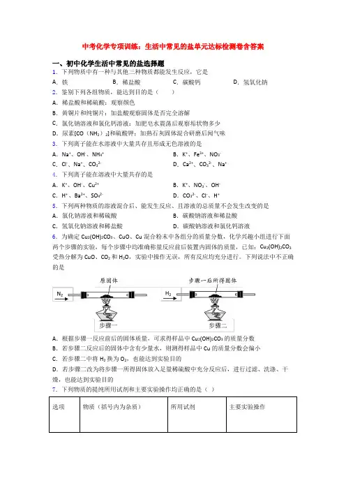 中考化学专项训练：生活中常见的盐单元达标检测卷含答案