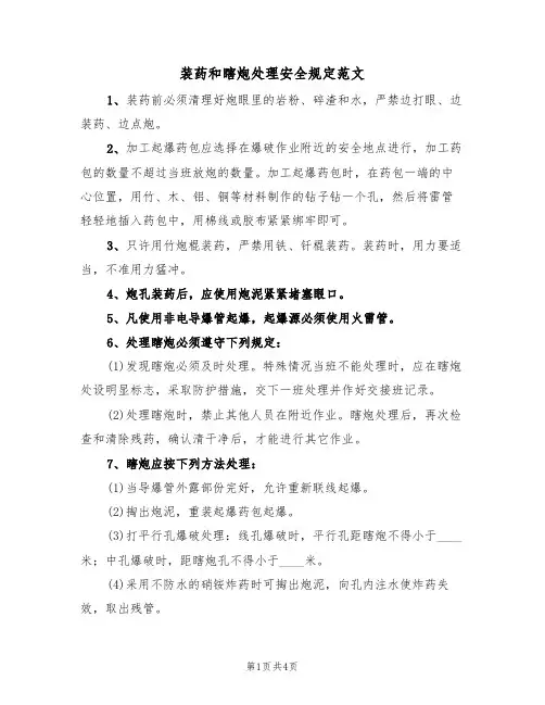 装药和瞎炮处理安全规定范文(2篇)