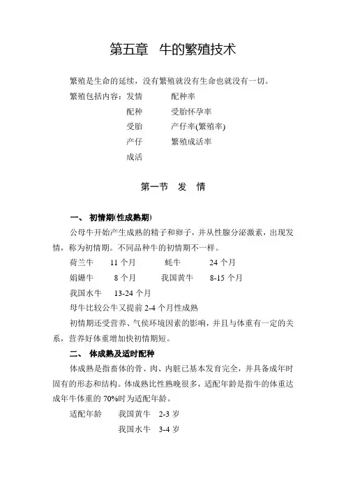 牛的繁殖技术