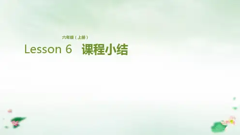六年级上册英语-Lesson 6 课程小结 科普版