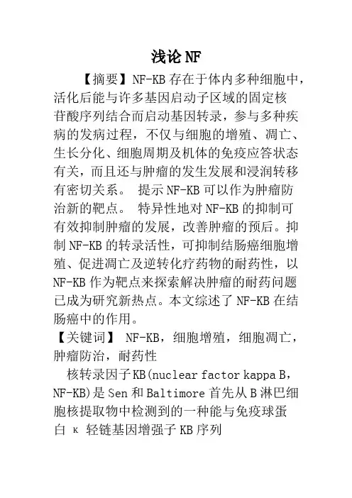浅论NF