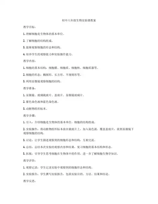 初中八年级生物实验课教案