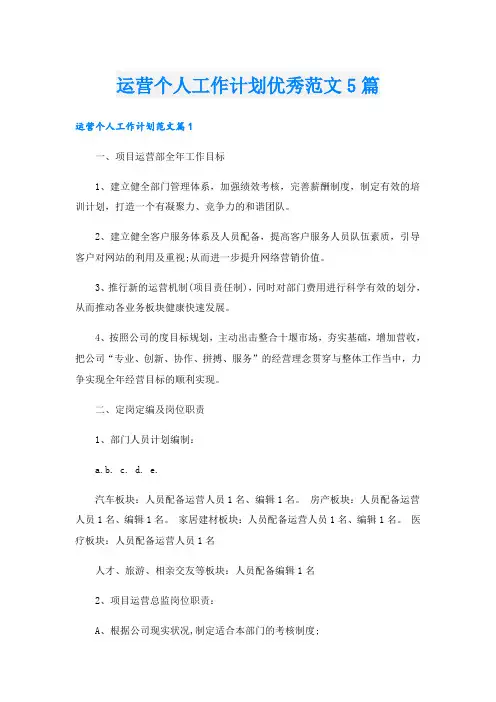 运营个人工作计划优秀范文5篇