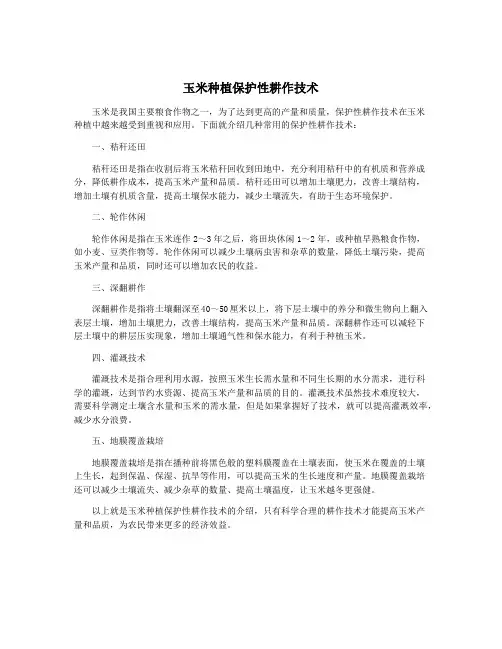 玉米种植保护性耕作技术