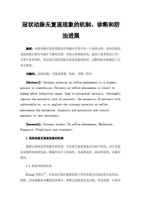 冠状动脉无复流现象的机制、诊断和防治进展