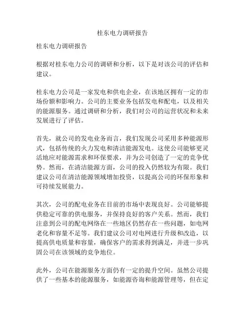 桂东电力调研报告