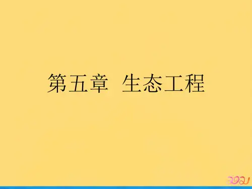 第五章  生态工程优品ppt