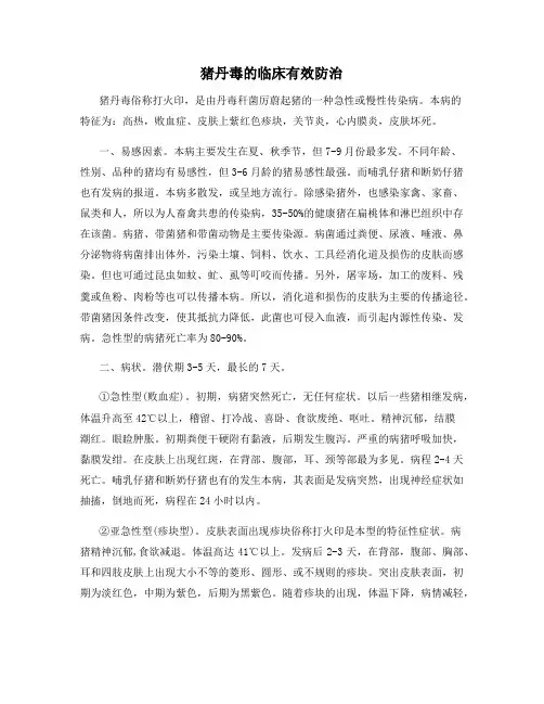 猪丹毒的临床有效防治