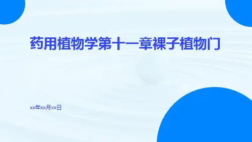 药用植物学第十一章裸子植物门