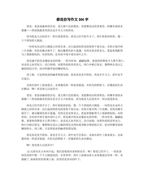 荷花仿写作文300字