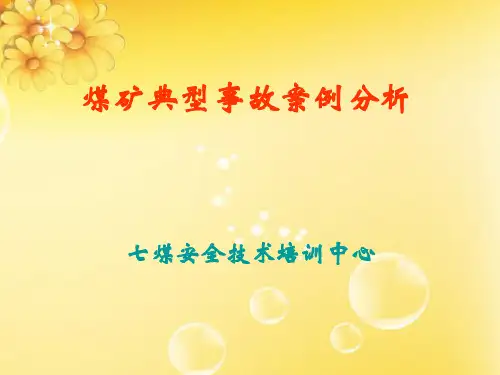 事故典型案例分析课件