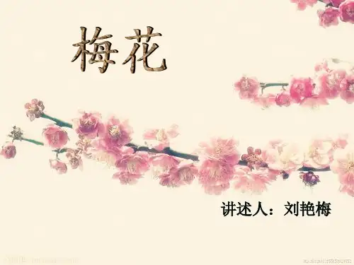 梅花介绍ppt