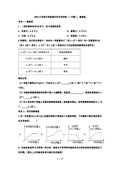 2020年九年级化学基础知识分类训练——专题二：酸碱盐
