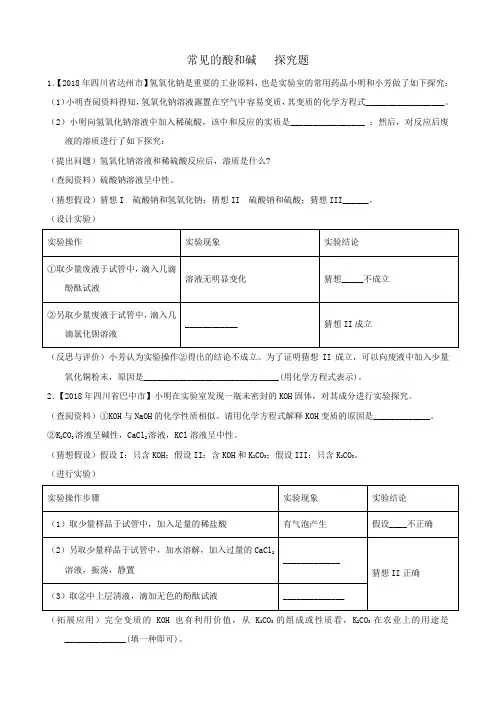 人教版九年级化学下专题训练——酸与碱的探究题含答案