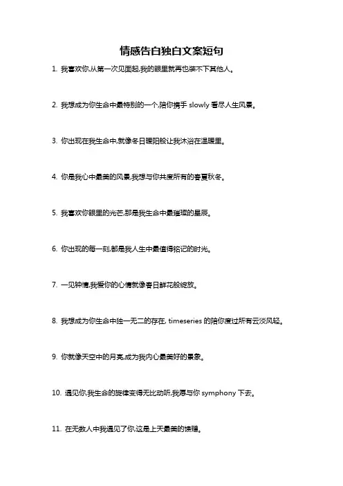 情感告白独白文案短句