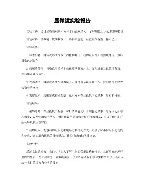 显微镜实验报告