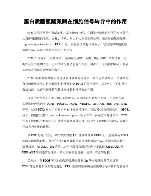 蛋白质酪氨酸激酶在细胞信号转导中的作用