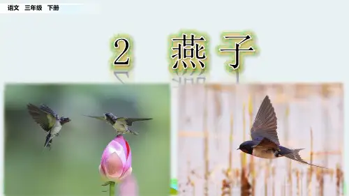 【部编版】《燕子》优质PPT课件：三年级下册第2课