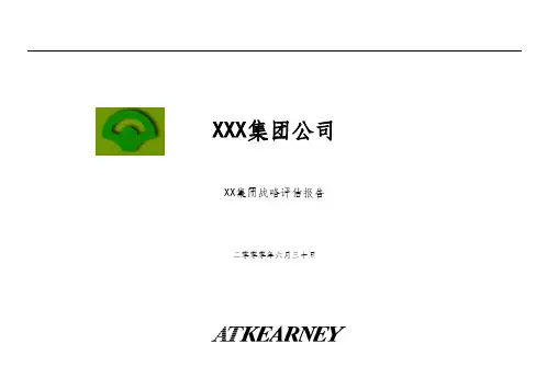 集团战略诊断报告及建议