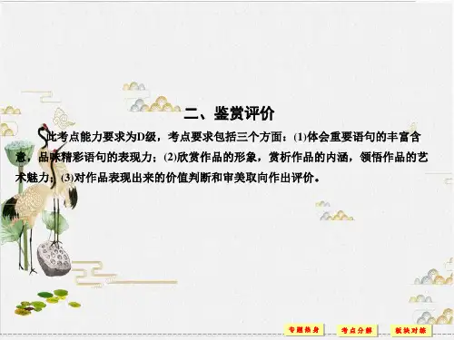 高考语文(苏教版)总复习优秀课件PPT专题 文学类文本阅读小说的阅读2