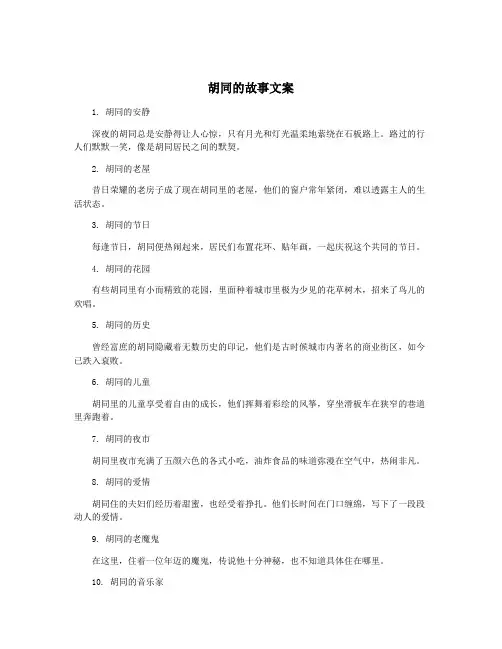 胡同的故事文案