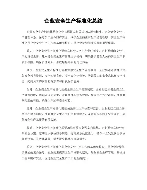 企业安全生产标准化总结