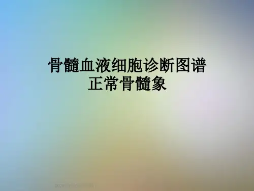骨髓血液细胞诊断图谱正常骨髓象