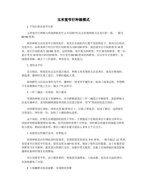 玉米宽窄行种植模式