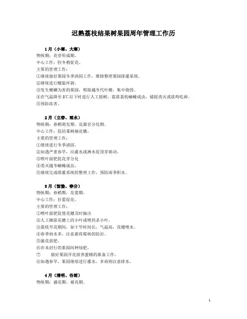 迟熟荔枝结果树果园周年管理工作历