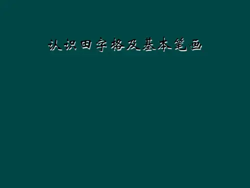 认识田字格及基本笔画
