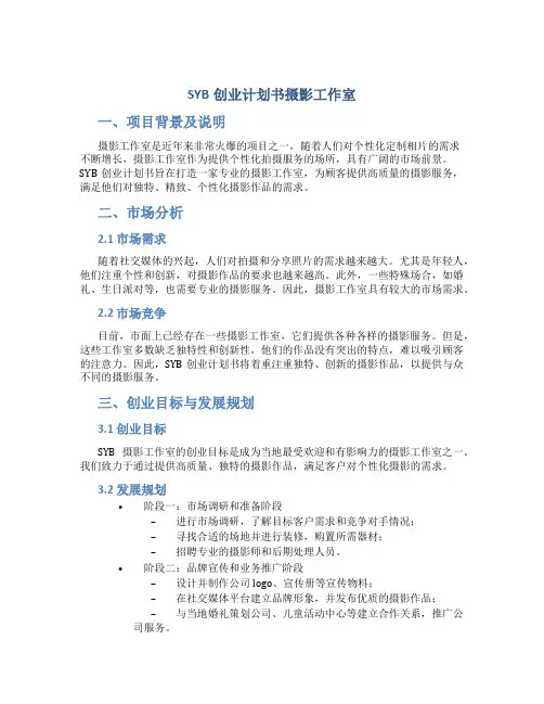 SYB创业计划书摄影工作室
