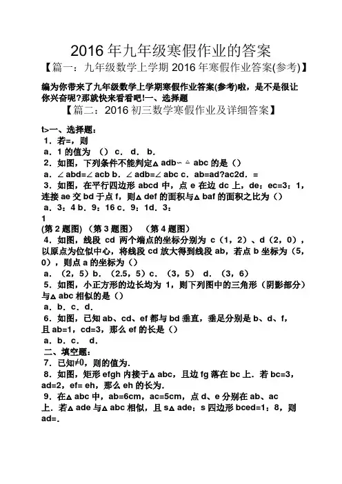 2016年九年级寒假作业的答案