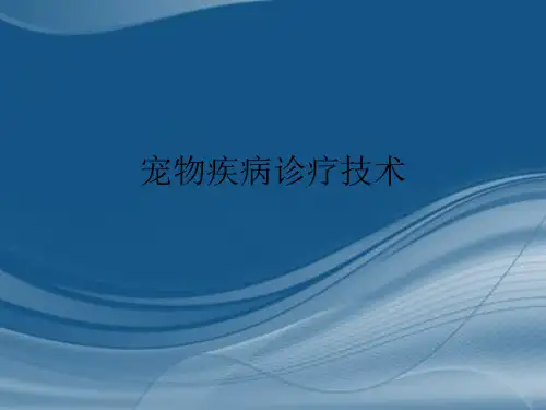 宠物疾病诊疗技术课件PPT