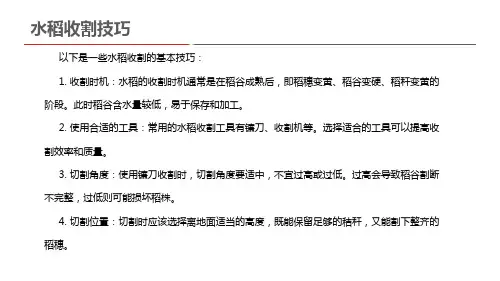 水稻收割技巧