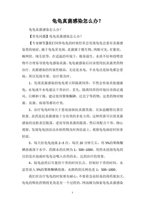 龟龟真菌感染怎么办？
