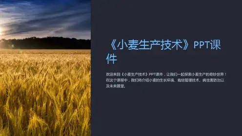 《小麦生产技术》PPT课件