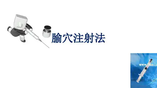 《刺法灸法学》课件ppt腧穴注射法