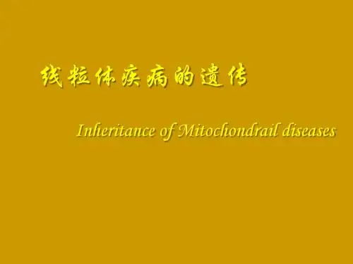 线粒体疾病的遗传课件