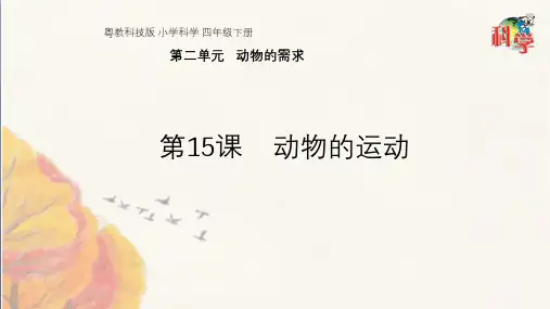 粤教版小学科学《动物的运动》PPT1