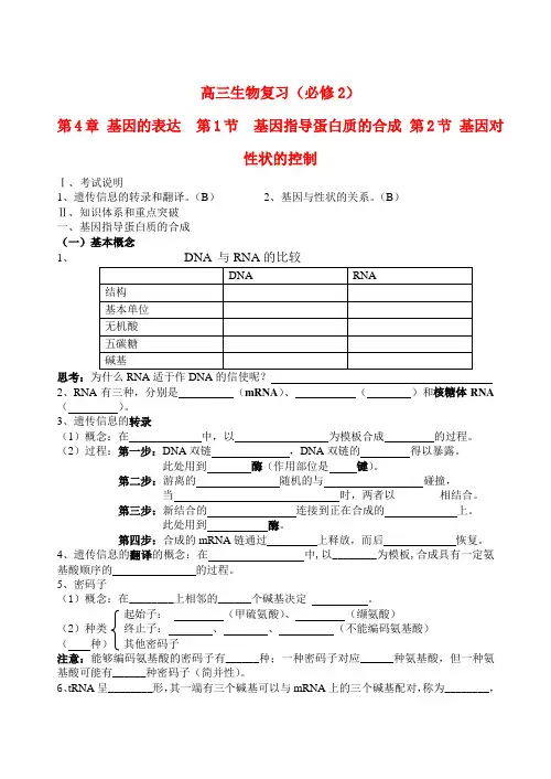 高三生物 基因的表达复习学案 新人教版必修2