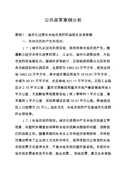 公共政策案例分析